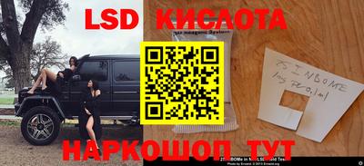 крисы Кинель