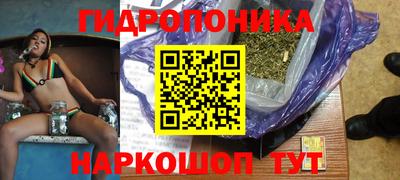 крисы Кинель