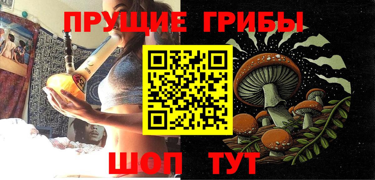 Галлюциногенные грибы GOLDEN TEACHER Красноярск