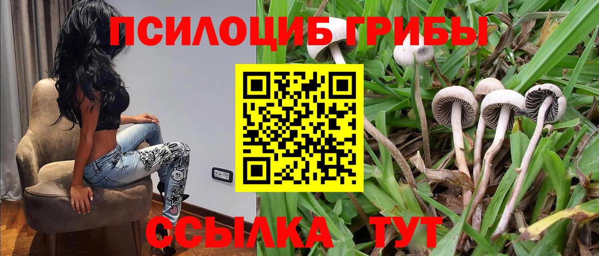 Псилоцибиновые грибы MAGIC MUSHROOMS  Псилоцибиновые грибы Psilocybine cubensis  Вход с VPN  Красноярск 